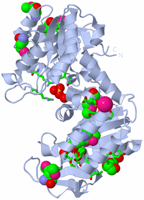 Image Biol. Unit 1 - sites