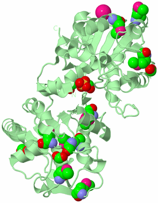 Image Biological Unit 2