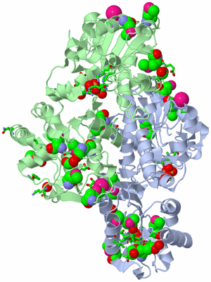 Image Asym. Unit - sites