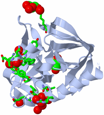 Image Biol. Unit 1 - sites