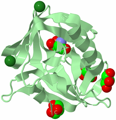 Image Biological Unit 2