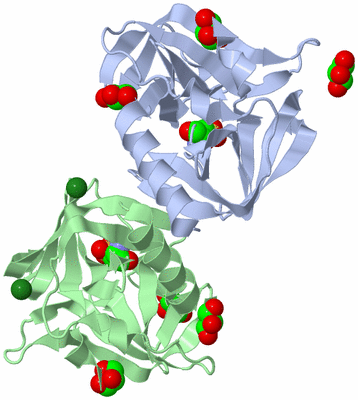 Image Biological Unit 3