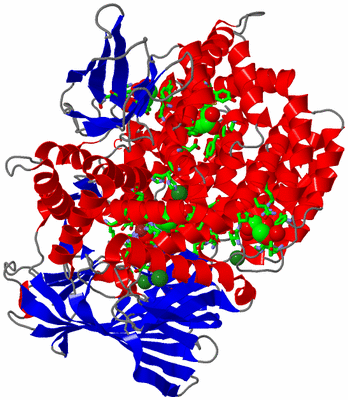 Image Asym./Biol. Unit - sites