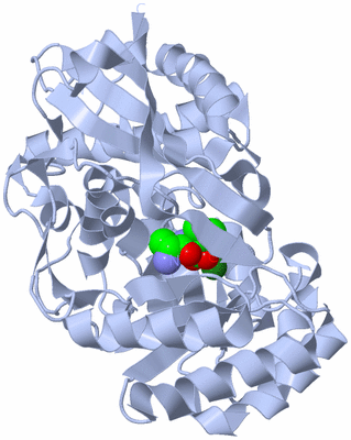 Image Biological Unit 1