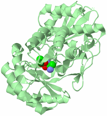 Image Biological Unit 2