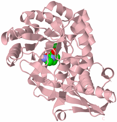 Image Biological Unit 3