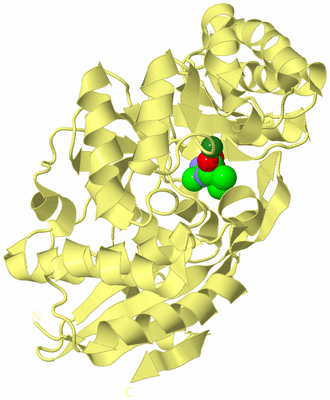 Image Biological Unit 4