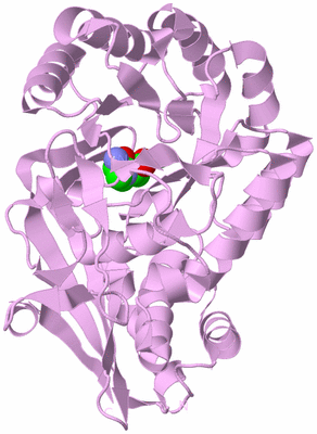 Image Biological Unit 5