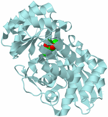 Image Biological Unit 6