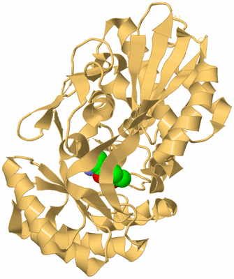 Image Biological Unit 7