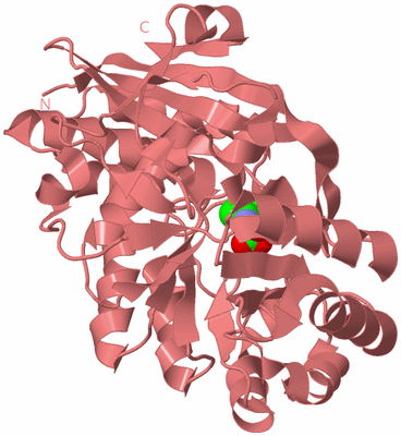 Image Biological Unit 8