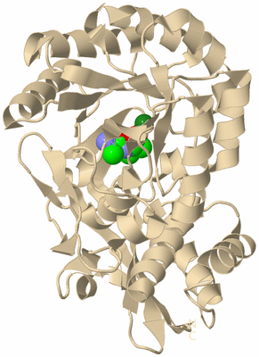 Image Biological Unit 9