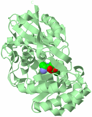 Image Biological Unit 2