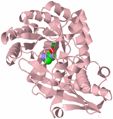 Image Biological Unit 3