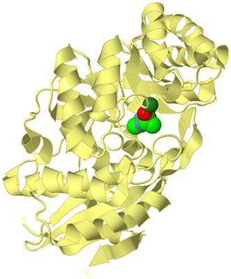 Image Biological Unit 4