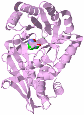 Image Biological Unit 5