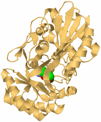 Image Biological Unit 7