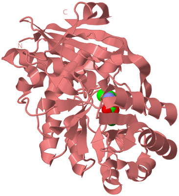 Image Biological Unit 8