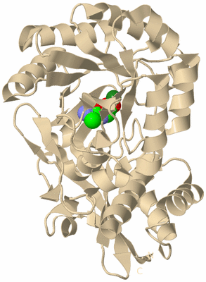 Image Biological Unit 9