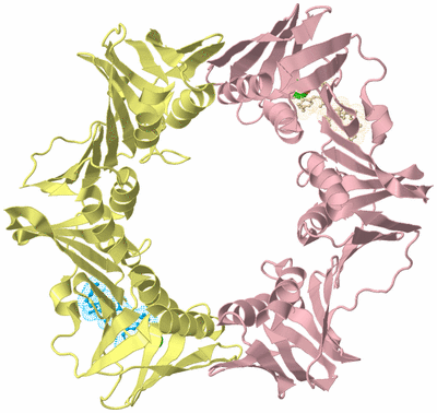 Image Biological Unit 1