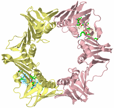 Image Biol. Unit 1 - sites