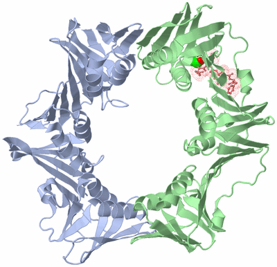 Image Biological Unit 3