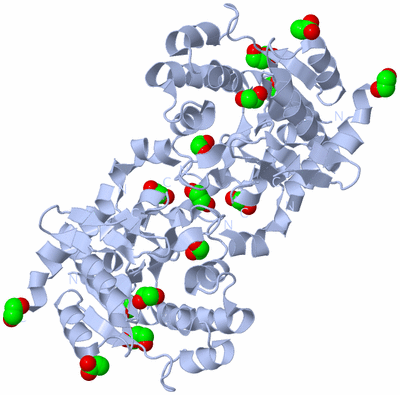 Image Biological Unit 1