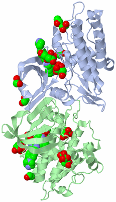 Image Biological Unit 1