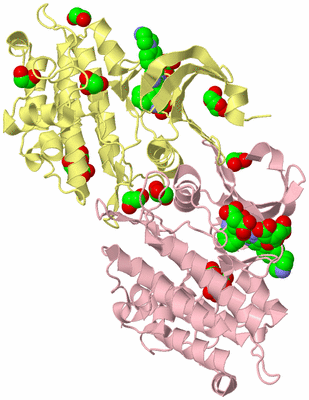 Image Biological Unit 2