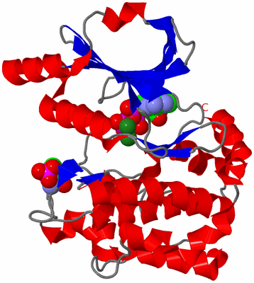 Image Asym./Biol. Unit