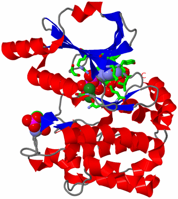 Image Asym./Biol. Unit - sites