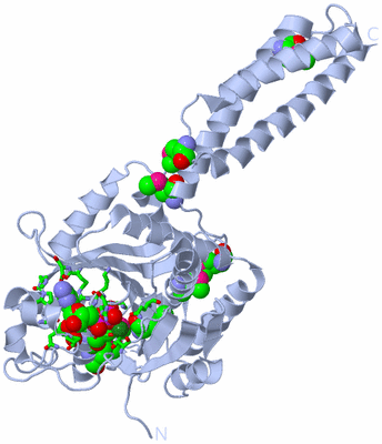 Image Biol. Unit 1 - sites