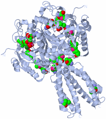 Image Biological Unit 2