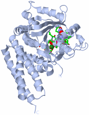 Image Biol. Unit 1 - sites