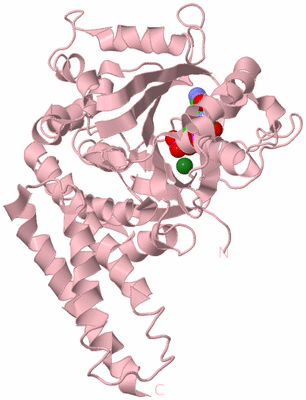 Image Biological Unit 2