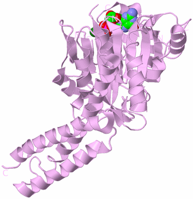 Image Biological Unit 3