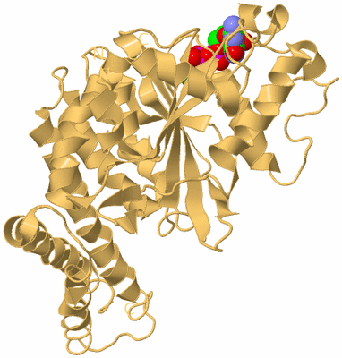 Image Biological Unit 4