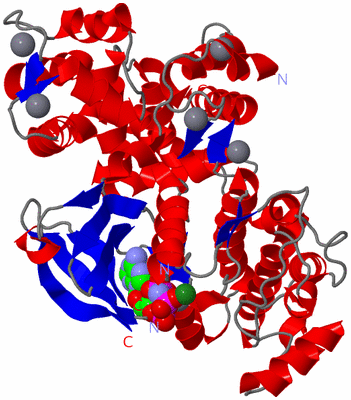 Image Asym./Biol. Unit