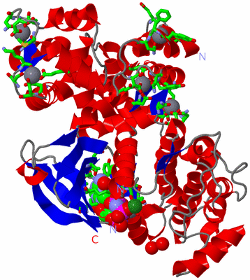 Image Asym./Biol. Unit - sites