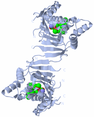 Image Biological Unit 1