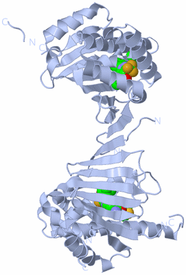 Image Biological Unit 1