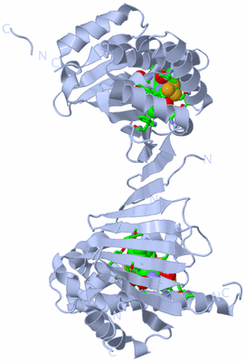 Image Biol. Unit 1 - sites