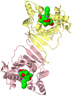 Image Biological Unit 2