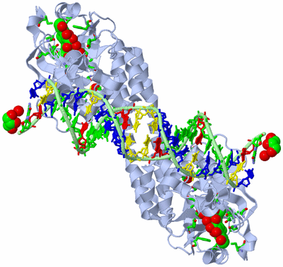 Image Biol. Unit 1 - sites