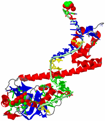 Image Asym. Unit - sites