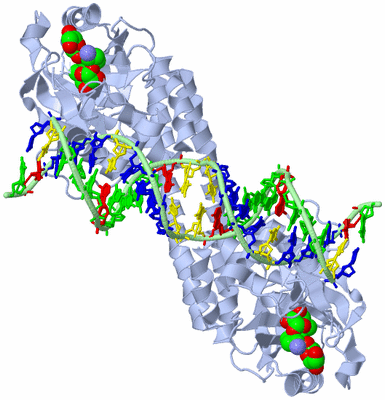 Image Biological Unit 1