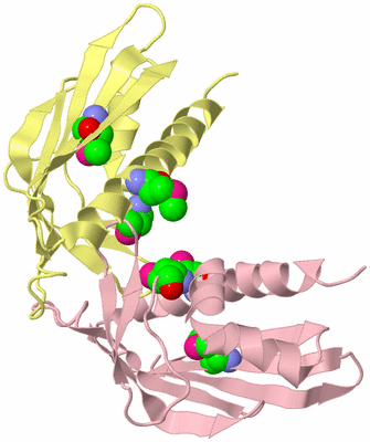 Image Biological Unit 2