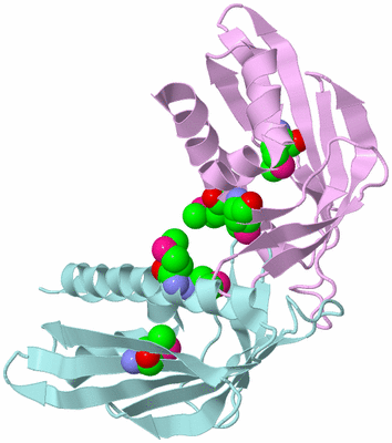 Image Biological Unit 3