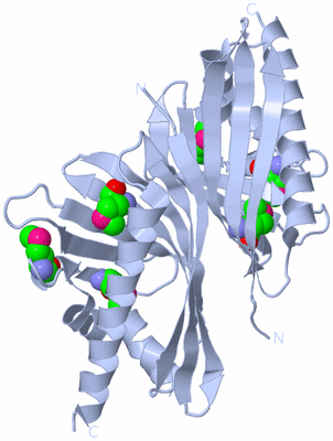 Image Biological Unit 1