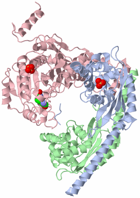 Image Asym./Biol. Unit